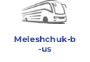 Meleshchuk-bus