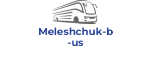 Meleshchuk-bus