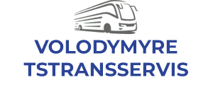 VOLODYMYRETSTRANSSERVIS LLC
