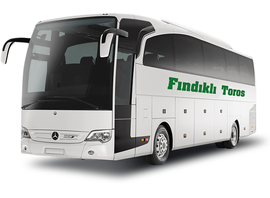 findikli-toros
