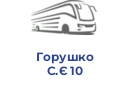 Горушко С.Є 10