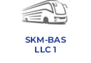 SKM-BAS LLC 1