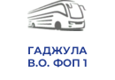 ГАДЖУЛА В.О. ФОП 1