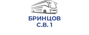 БРИНЦОВ С.В. 1