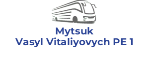 Mytsuk Vasyl Vitaliyovych PE 1