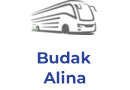 Budak Alina Vitaliyivna PE