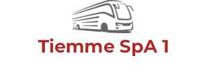 Tiemme SpA 1