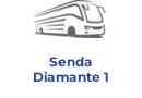 Senda Diamante 1