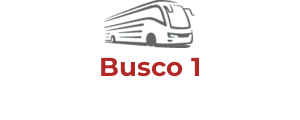 Busco 1
