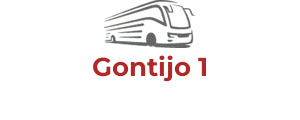 Gontijo 1