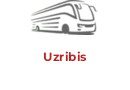 Uzribis