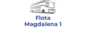 Flota Magdalena 1