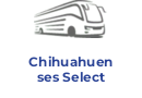 Chihuahuenses Select