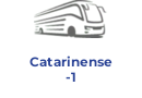 Catarinense 1