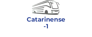Catarinense 1