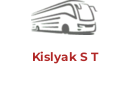 Kislyak S T