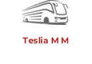 Teslia M M