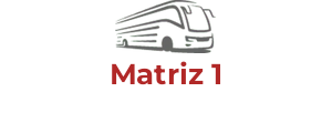 Matriz 1