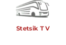Stetsik T V