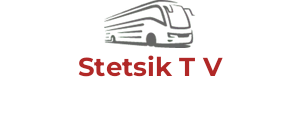 Stetsik T V