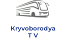 Kryvoborodya T V