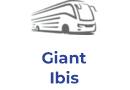 Giant Ibis Transportt