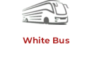 White Bus