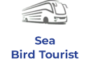 Sea Bird Tourist