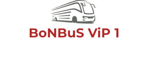 BoNBuS ViP 1
