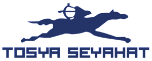 Tosya Seyahat New