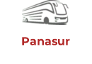 Panasur