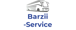 Barzii Service