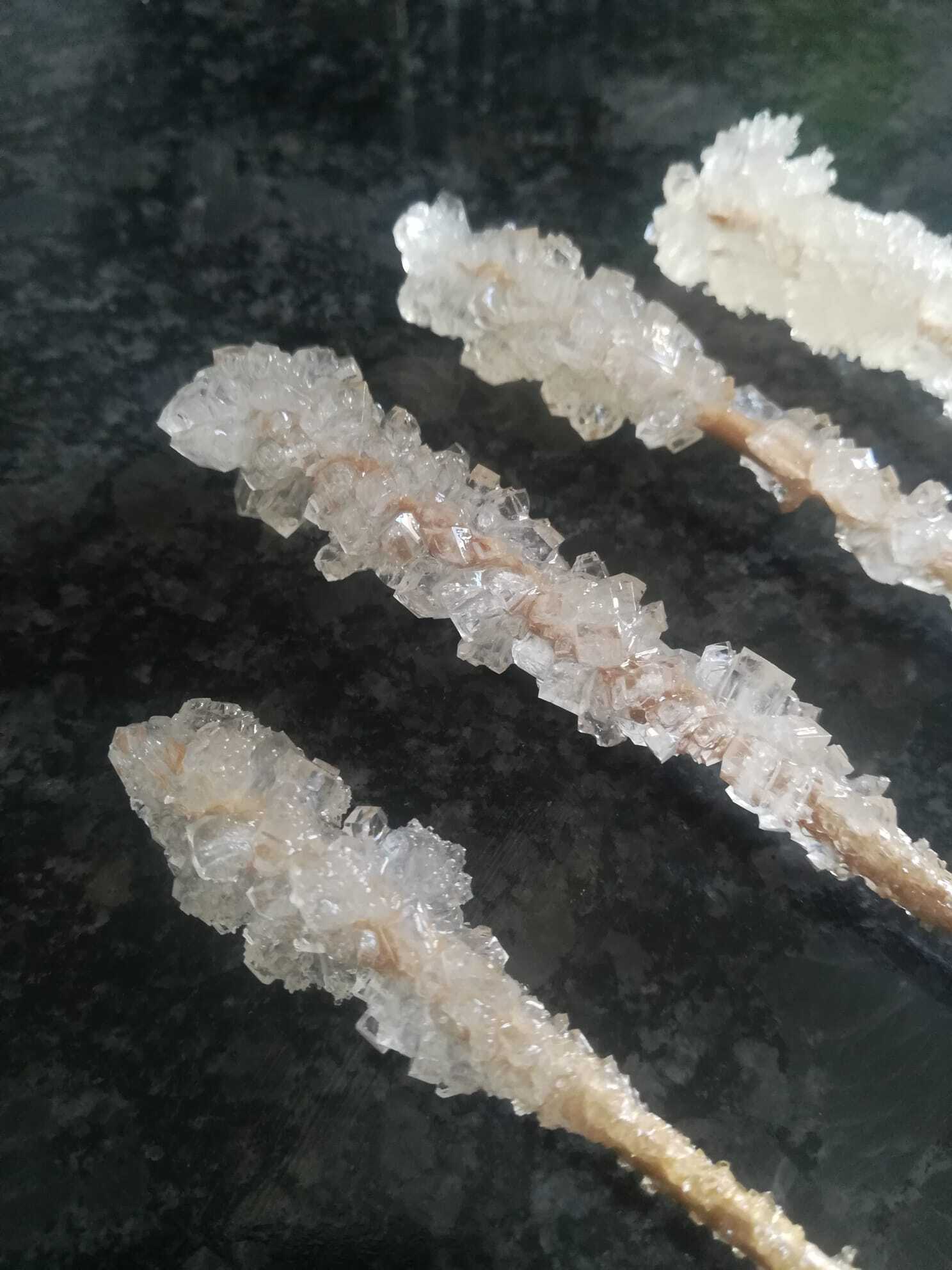 Experiment für Kinder Zuckerkristalle züchten Unterrichtsmaterial