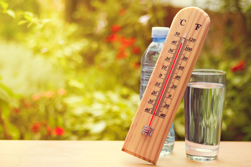 Canicule en France : que faire pour éviter le coup de chaud ?