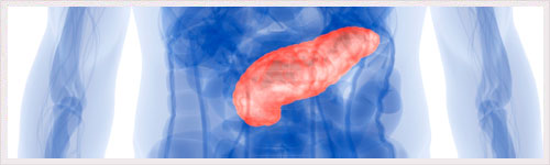Cancer du pancréas : viande rouge et transformée en cause
