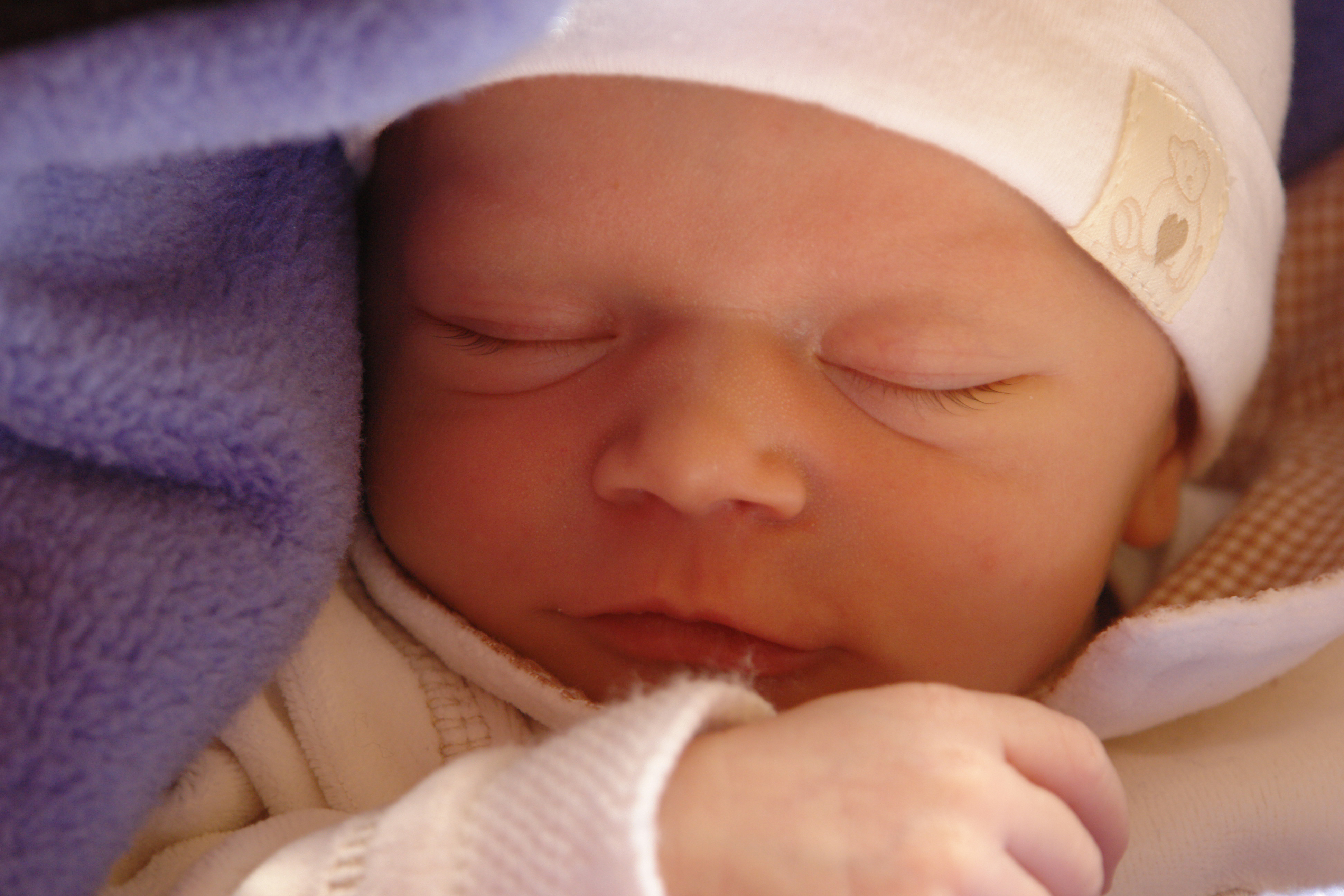 bébé.jpg