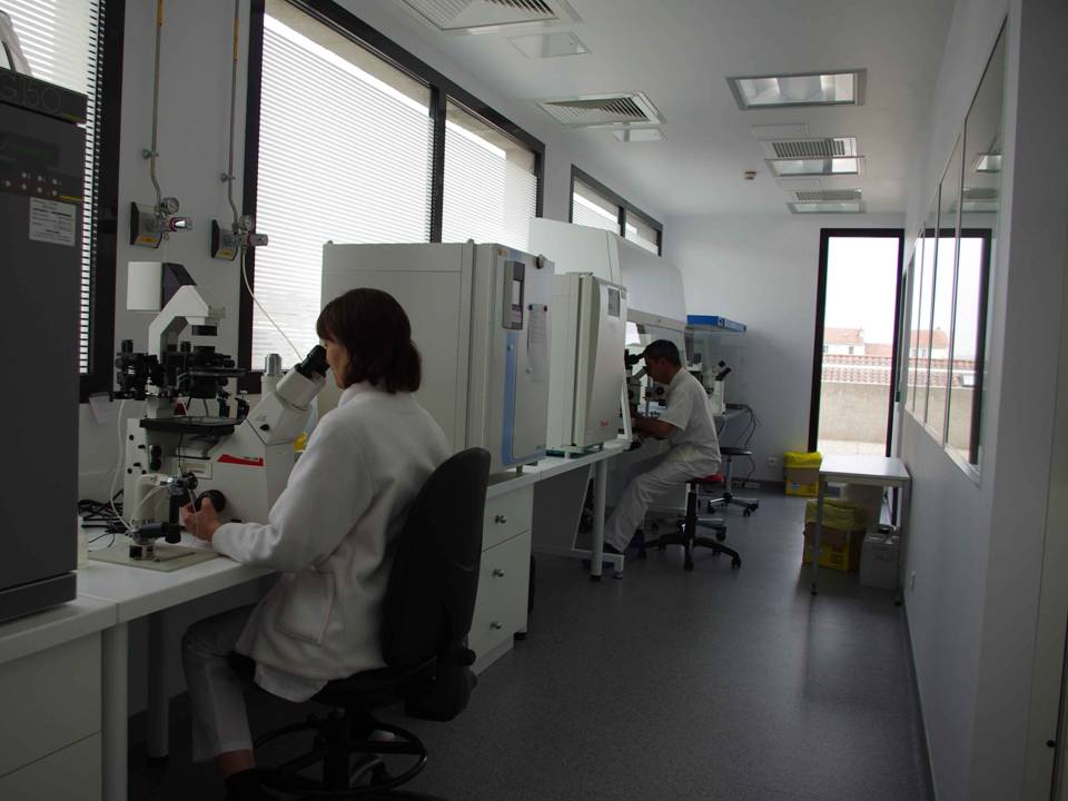 Laboratoire d'Aide Médicale à la Procréation (AMP).jpg