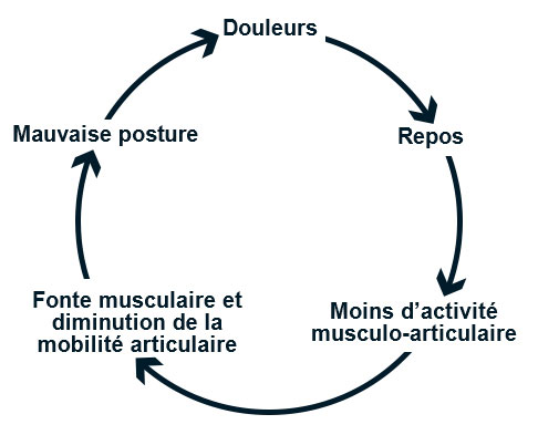 cercle vicieux de la lombalgie