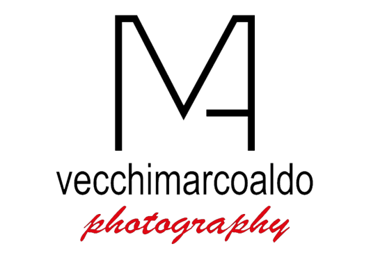 Logo Marco Aldo Vecchi