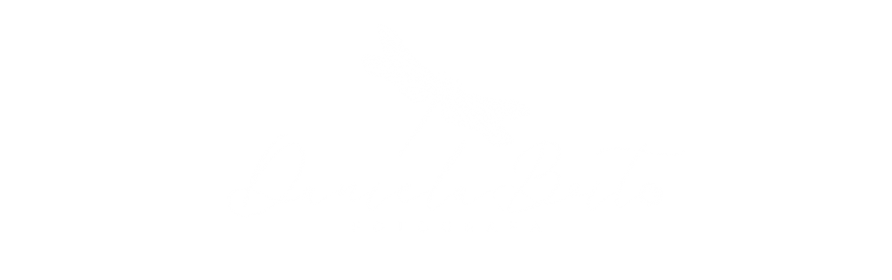 Logo Daniela Boito Fotografa
