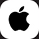 apple wallet