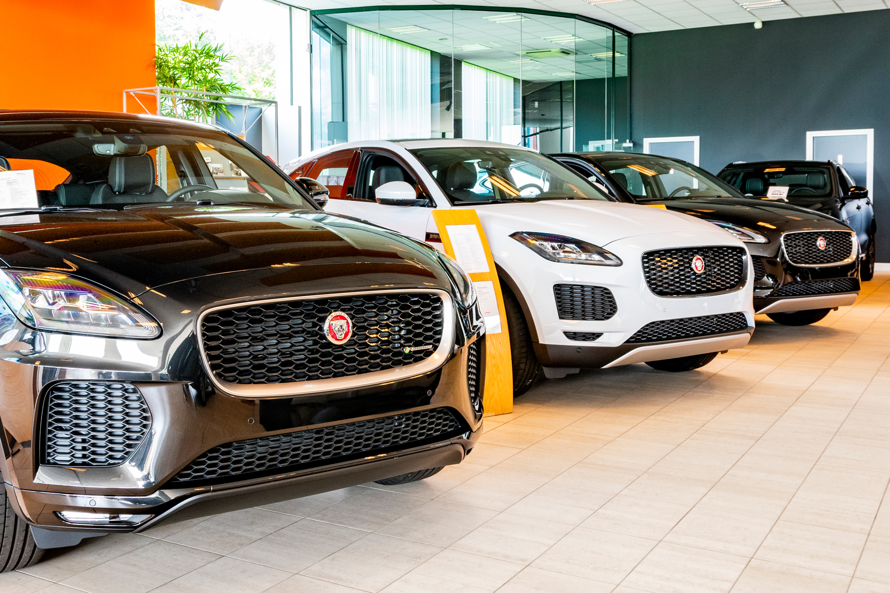 Jaguardealer Hedin Automotive is jouw officiële dealer Hedin