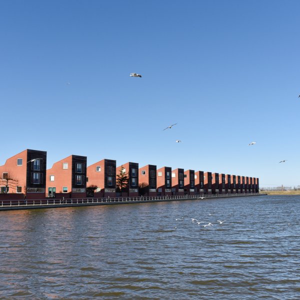 Nieuwbouw in De Held