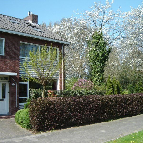 Groenendaal 62, GRONINGEN