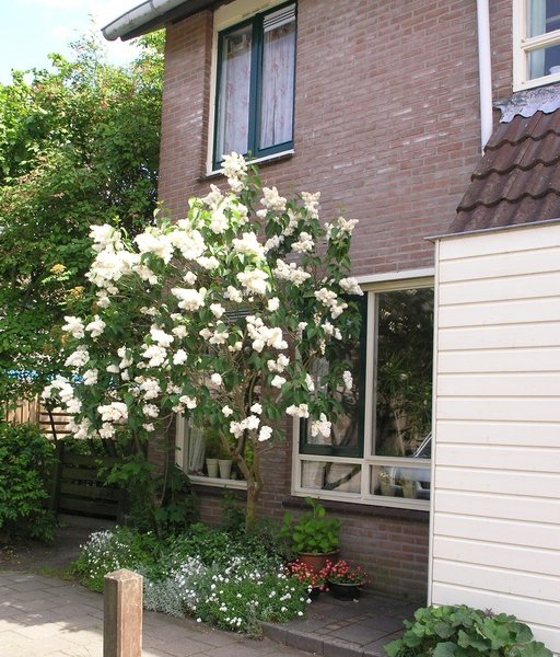 Rensumaheerd 88, GRONINGEN
