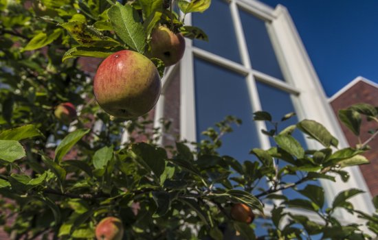 Gerard Revelaan 46, GRONINGEN