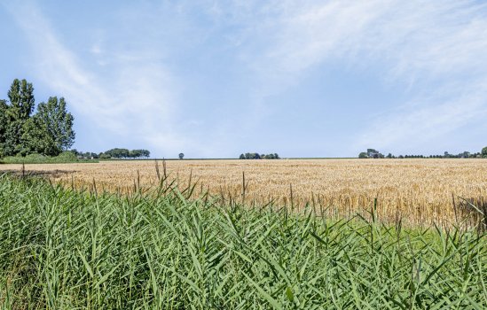 Broeksterweg 24, Pieterburen