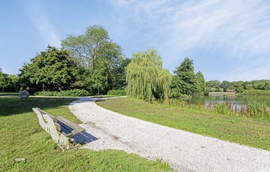 Molenkampsteeg 40, Haren Gn