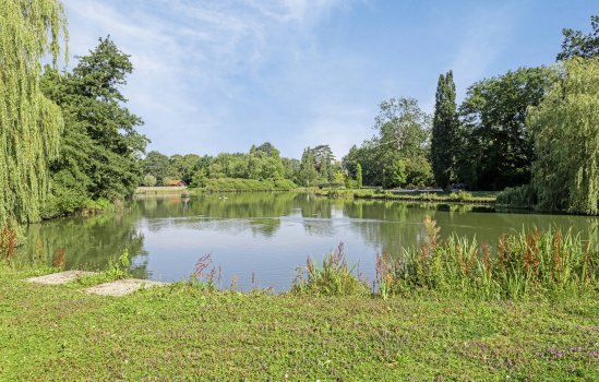 Molenkampsteeg 40, Haren Gn