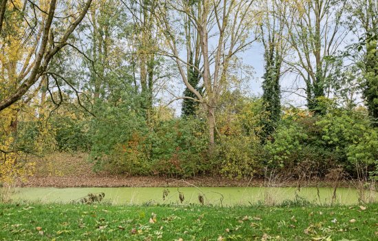 Radijsstraat 89, Groningen